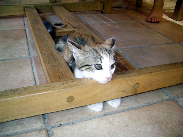 Caramel 08-04 006.jpg
